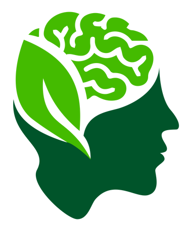 Mindful Eating: How to Listen to Your Body and Build a Healthy Relationship with Food